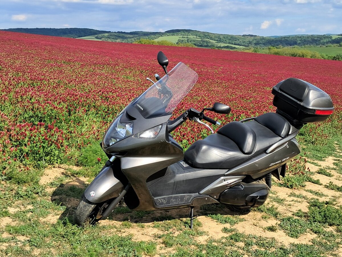 honda FJS 400D