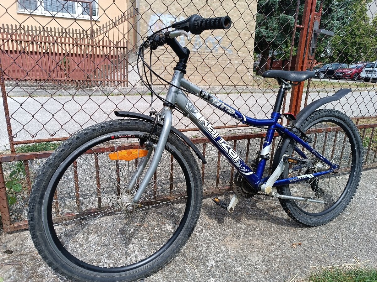 Bike Kenzel