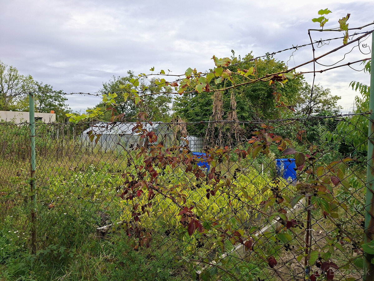 HĽADÁTE ZÁHRADU NA RELAX A PESTOVANIE OVOCIA A ZELENINY ? PO