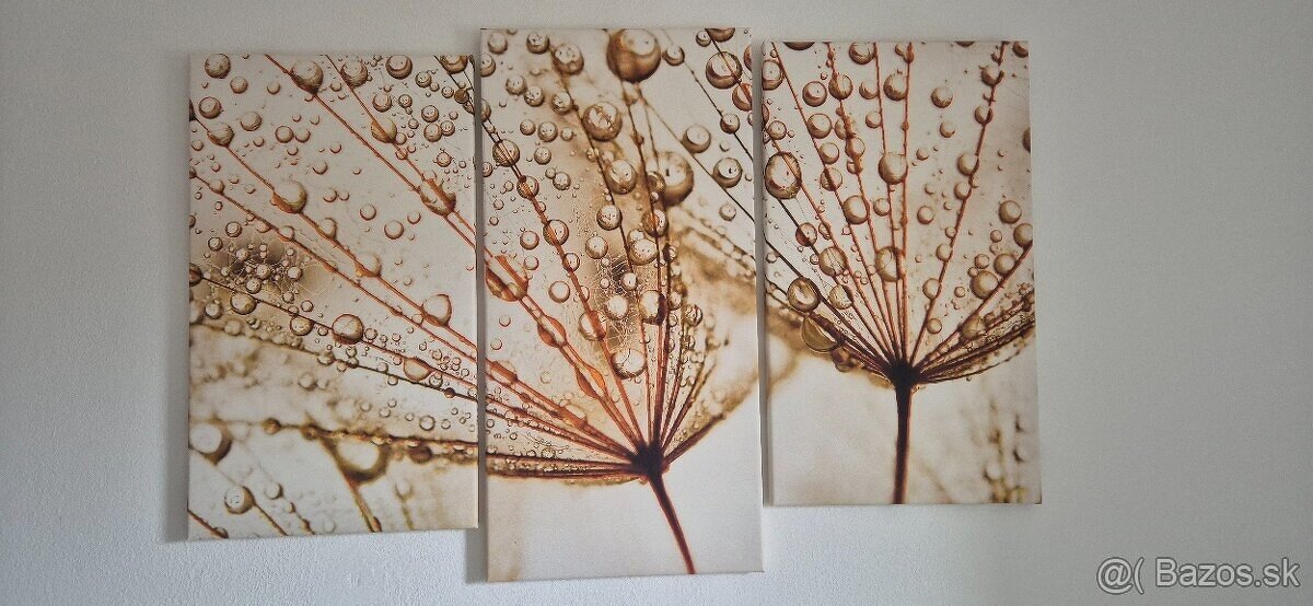 3 dielny obraz Hand made Colorika