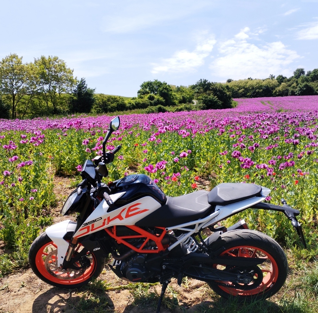 KTM DUKE - 390, r.2017