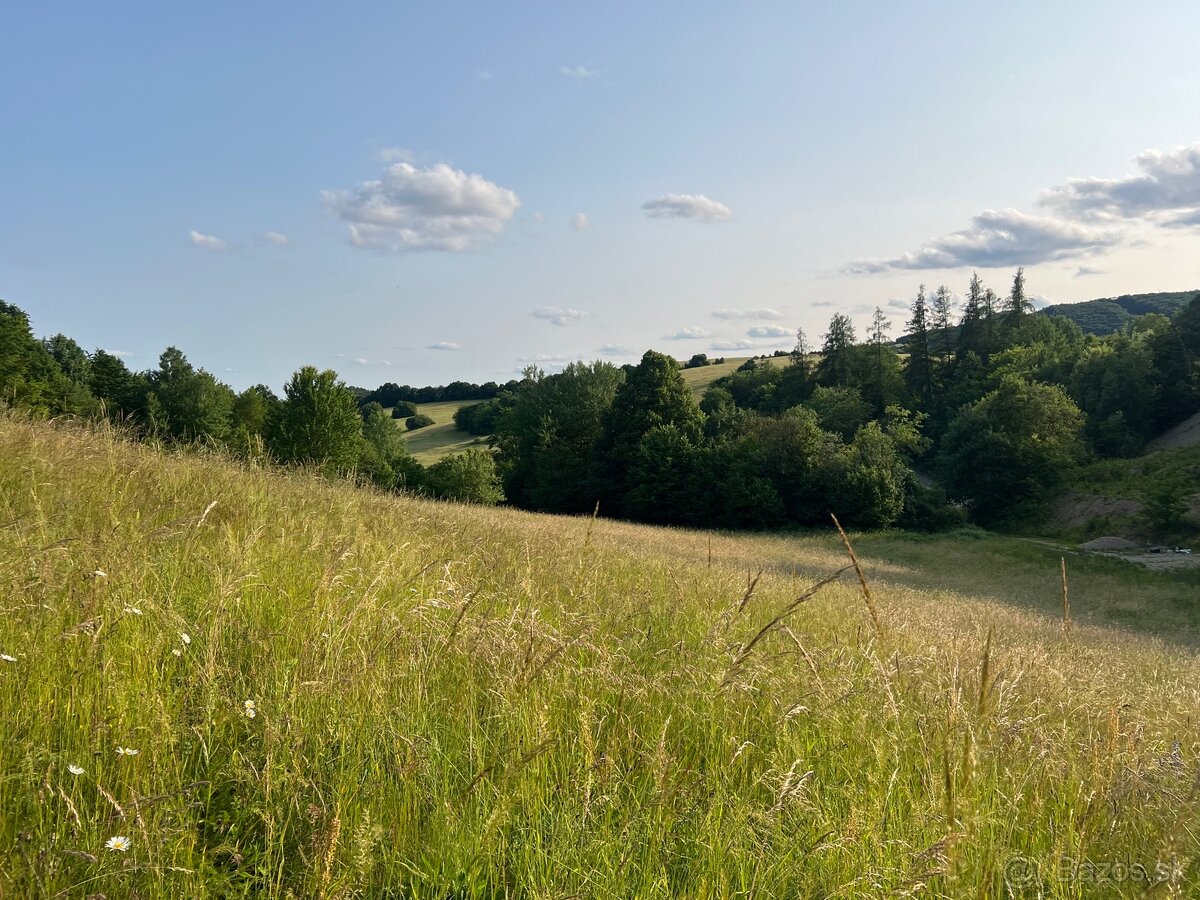 Predám pozemok 8 100 m² – Horná Mičiná