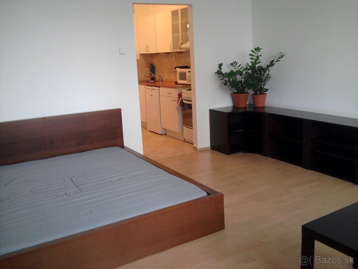 Prenajmem 1 izbový byt s klimatizáciou