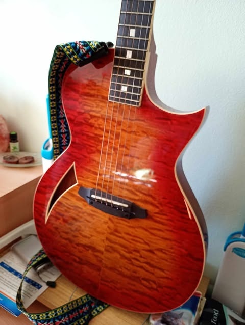 predam LTD ESP TL6