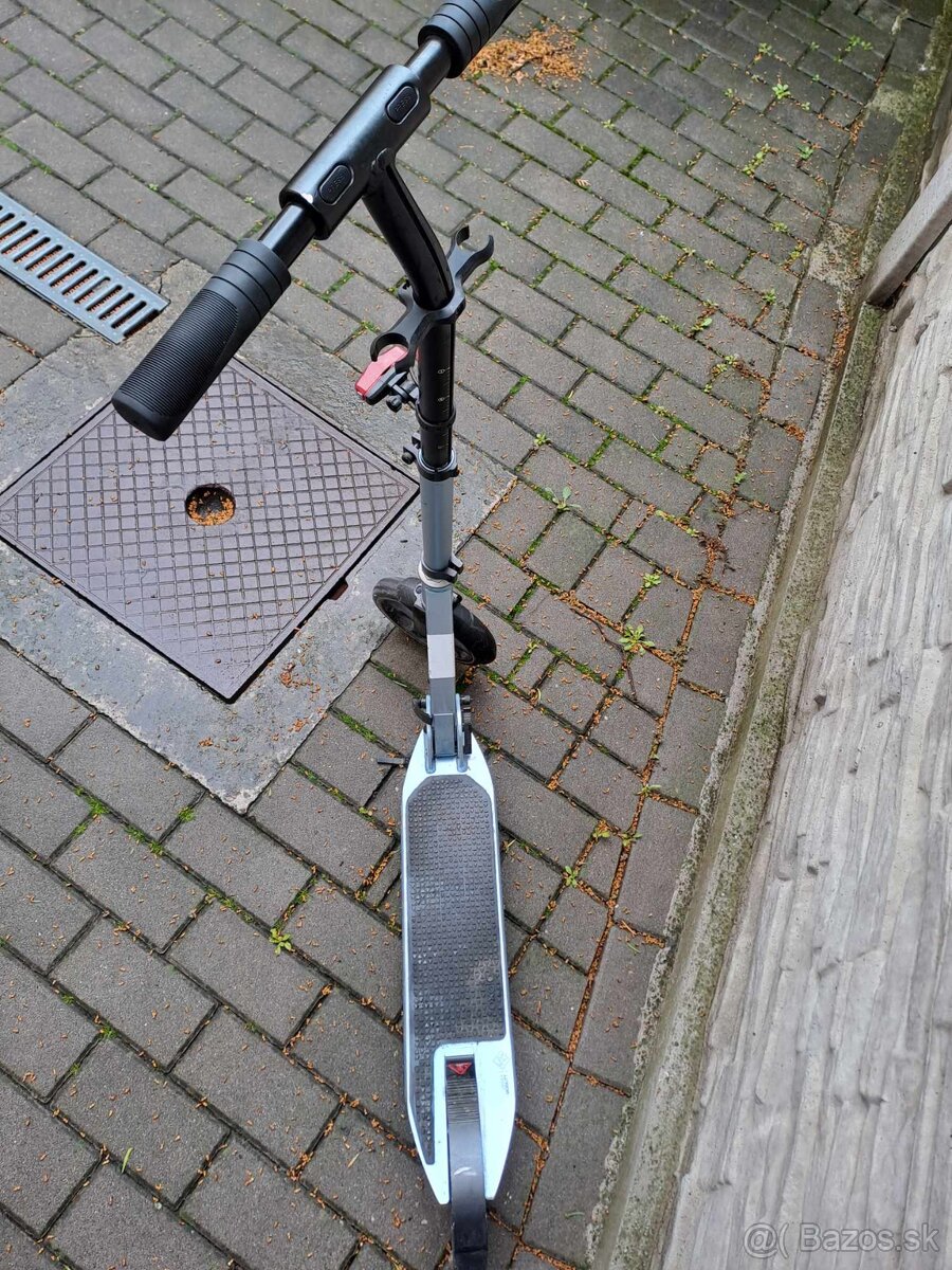 kolobežka Oxelo
