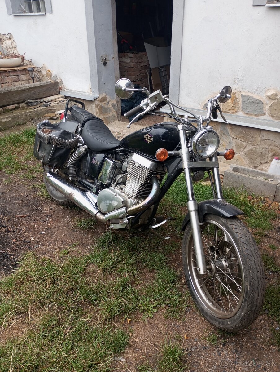 Suzuki Ls650 Savage
