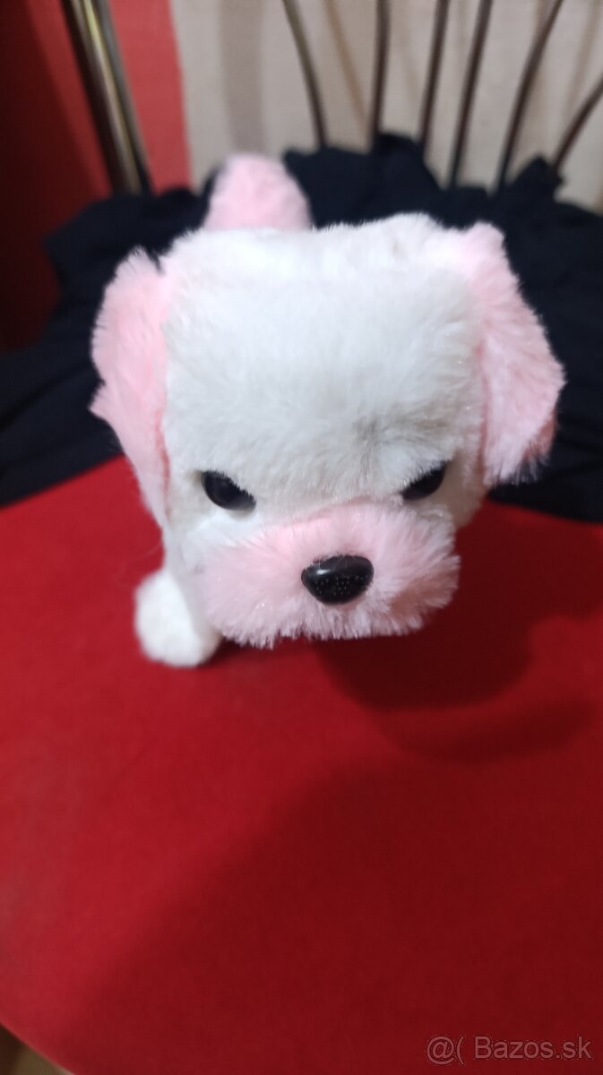 Predam psika na baterky