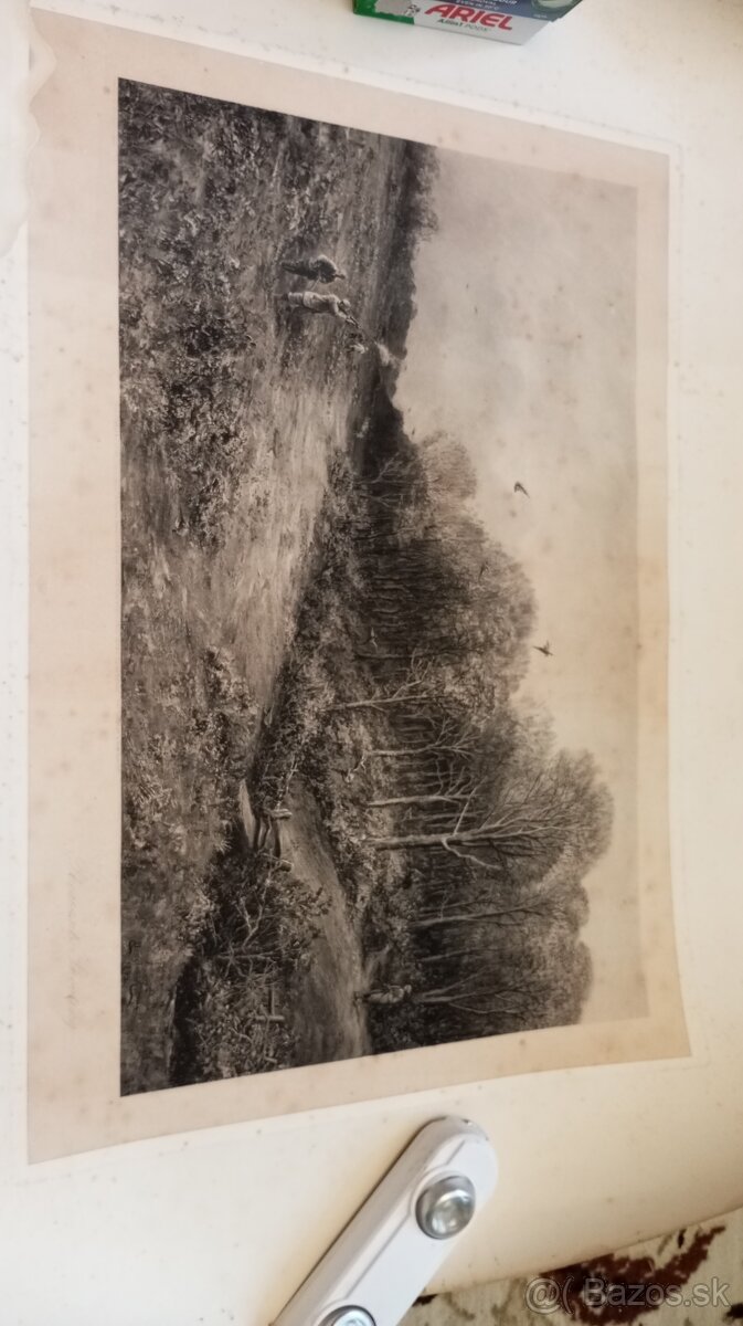 Predám obraz z roku 1893