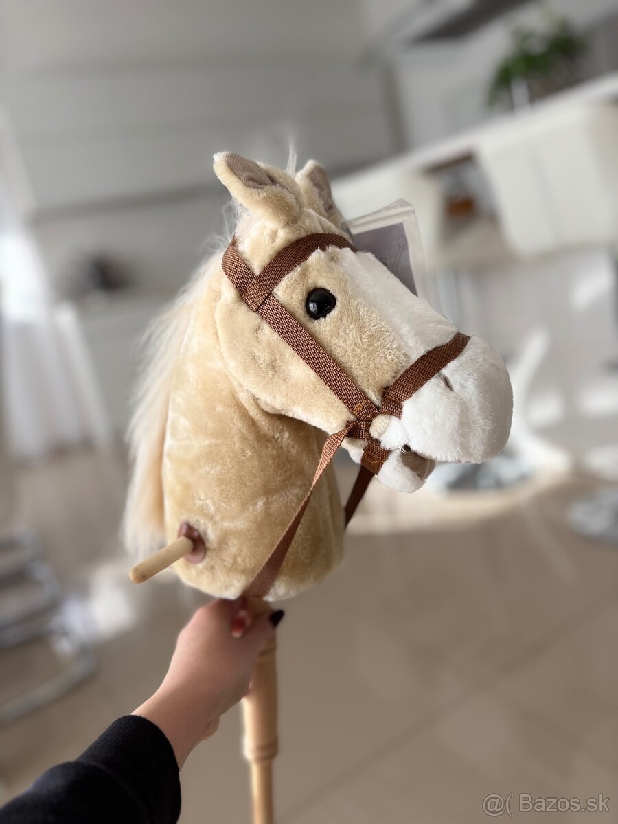 Hobby horse