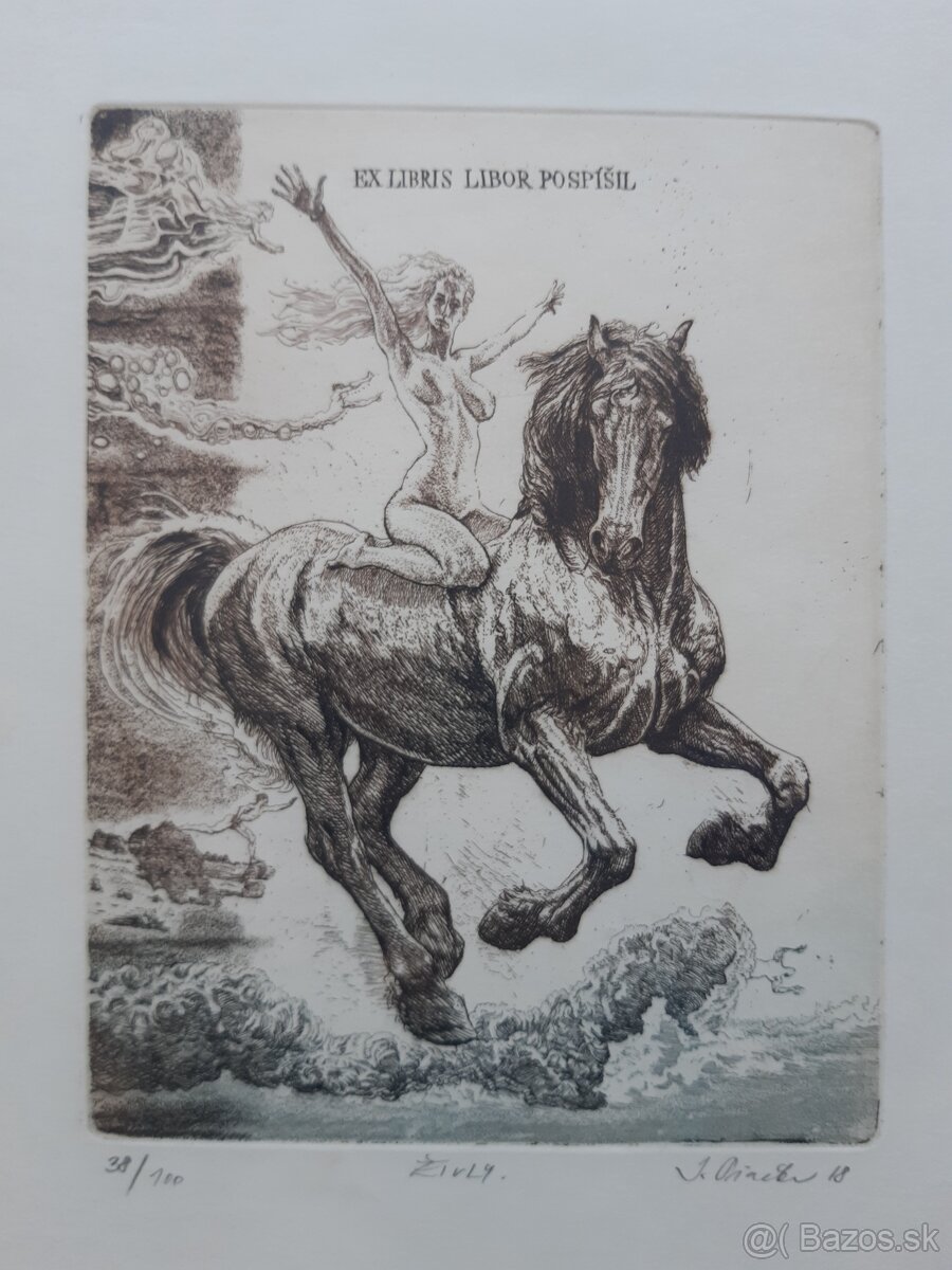 Igor Piačka – Živly