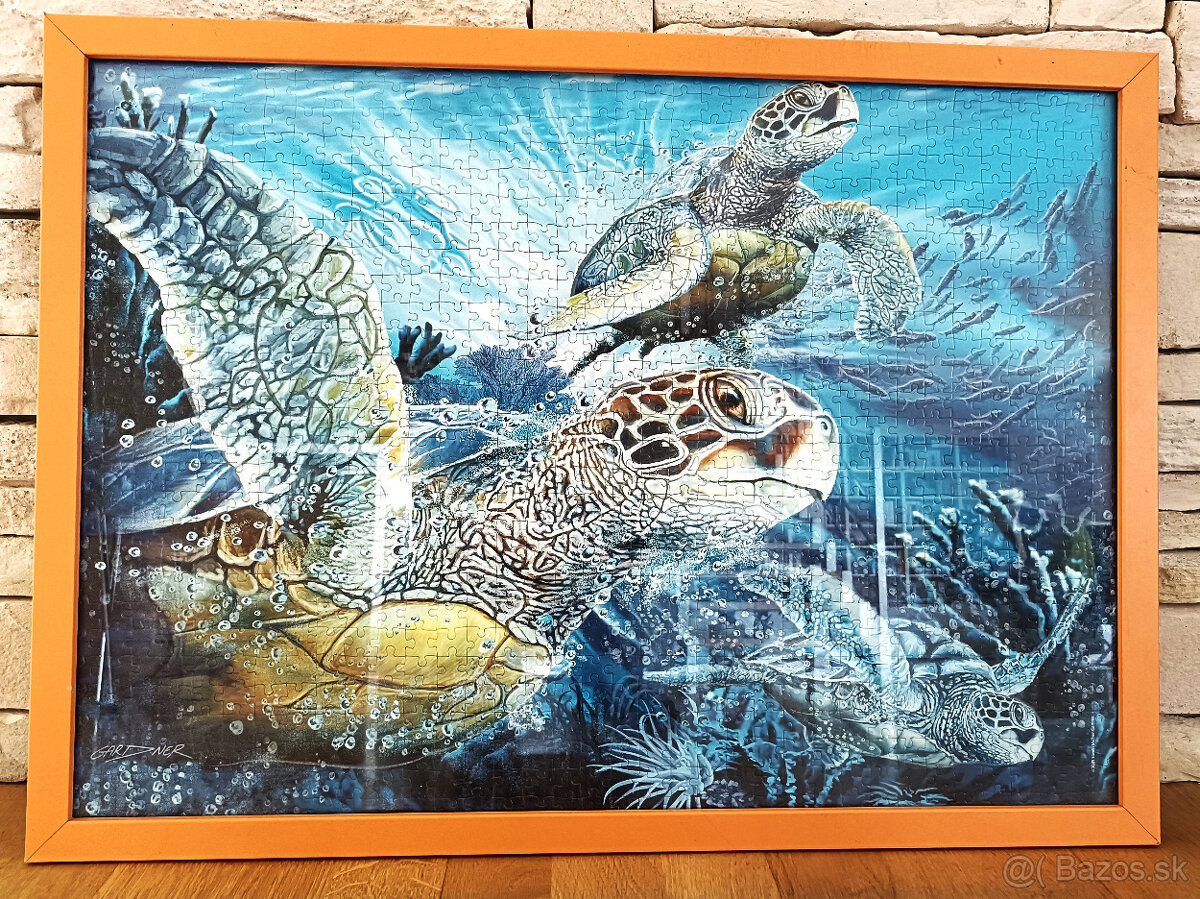 Predám obraz s motívom Morské Korytnačky