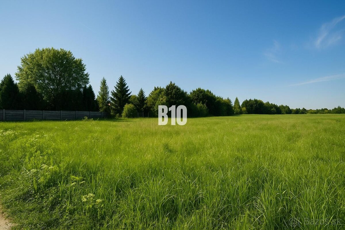 Stavebný pozemok v obci Mýtne Ludany, len 5 minút od Levíc