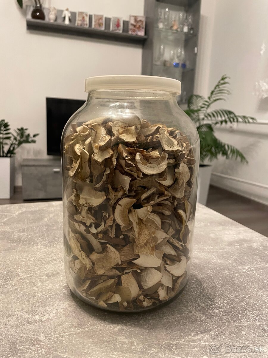 Predám sušené dubáky – tohtoročné