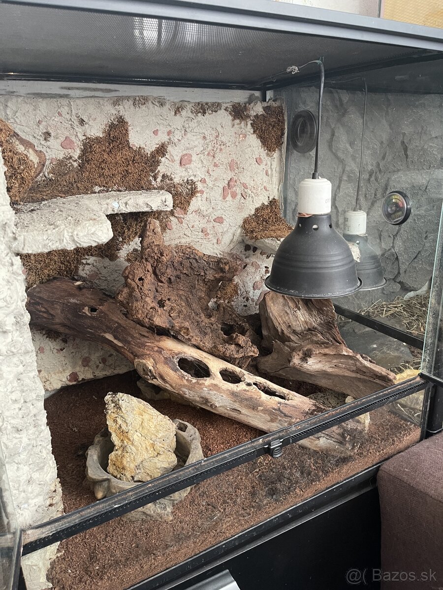 Terárium RP 60x60x45