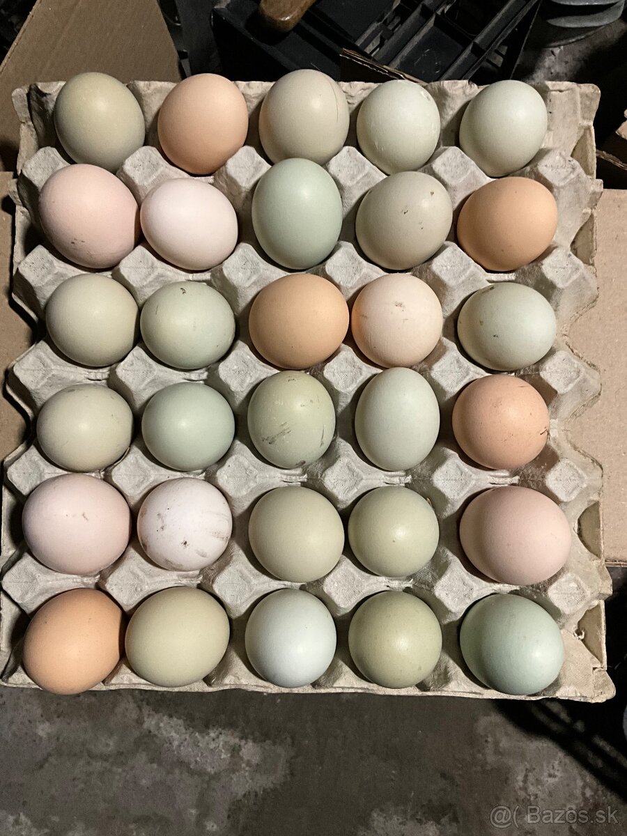 Domáce vajíčka