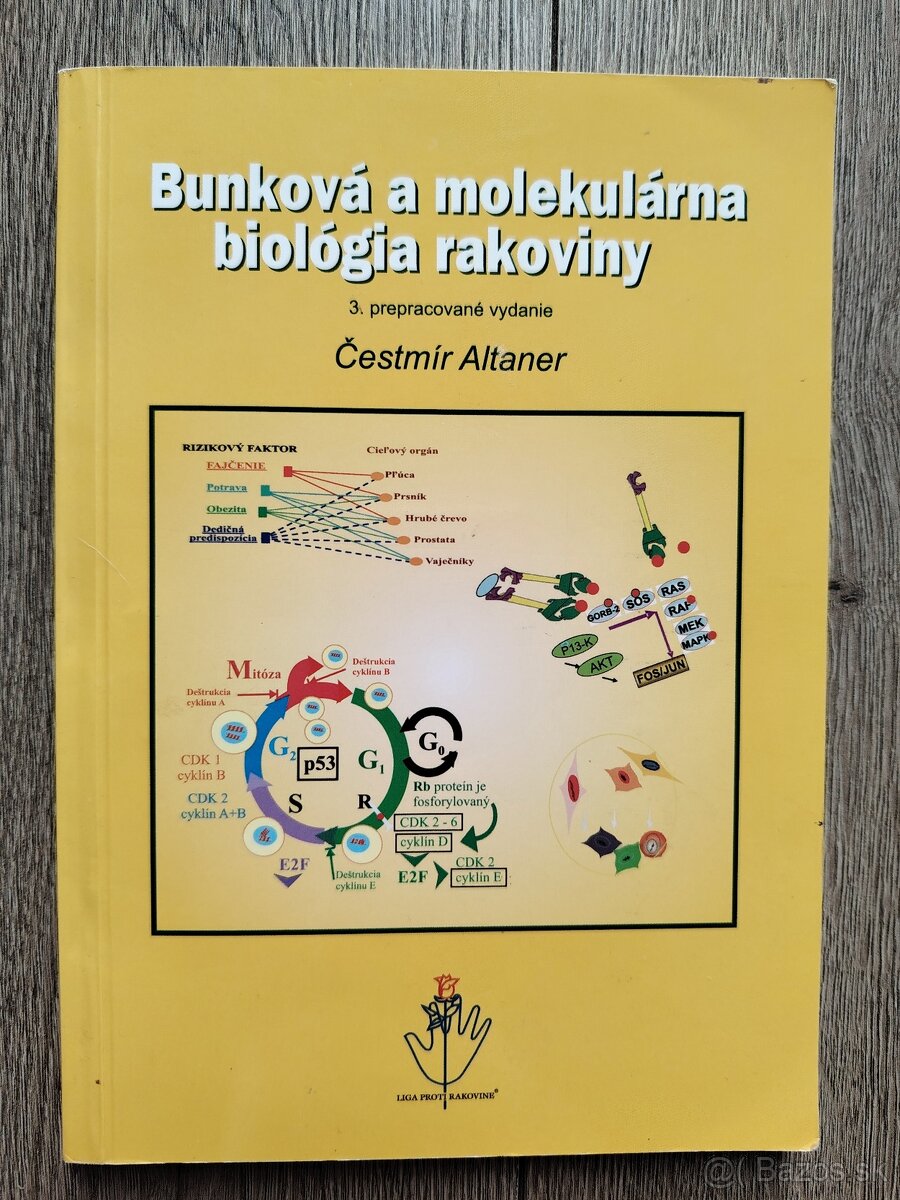 Bunková a molekulárna biologia rakoviny