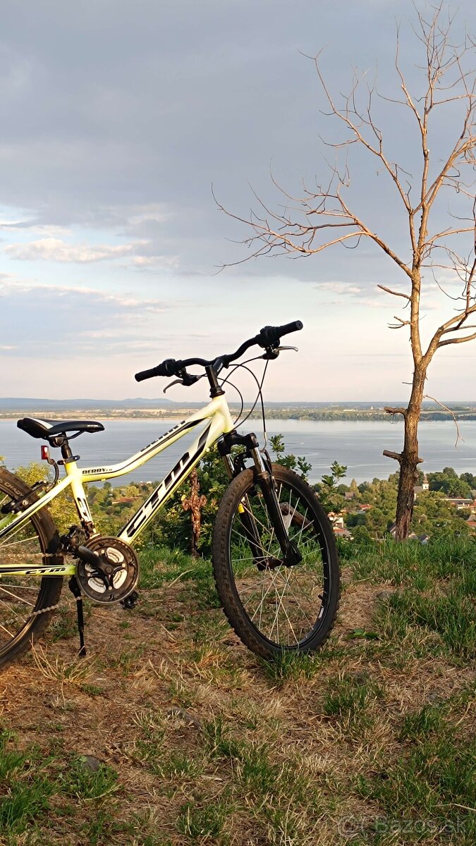 MTB 24 CTM Berry 2.0