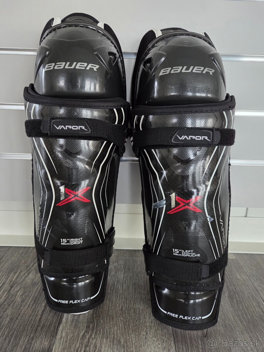Holene Bauer Vapor 1X 15"