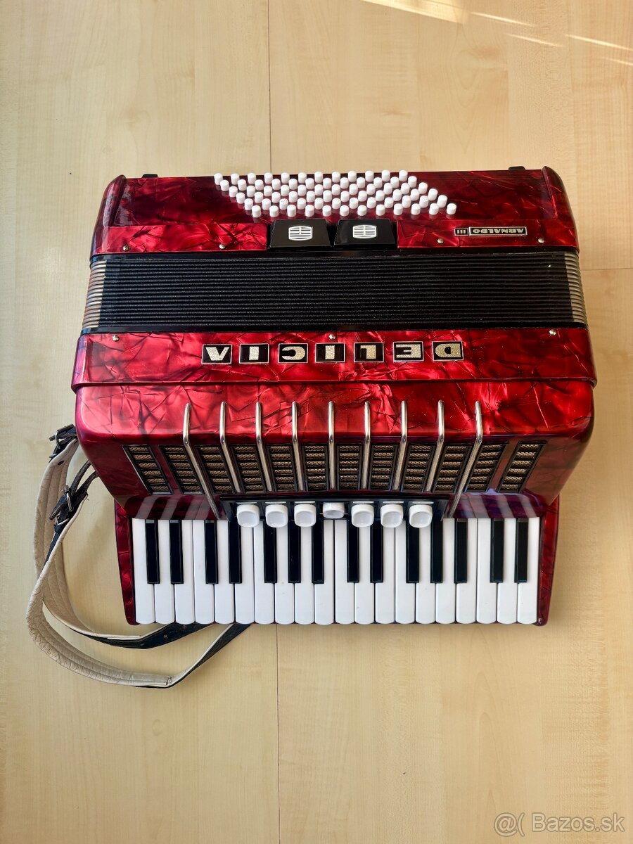 Delicia Arnaldo 3-72 bas