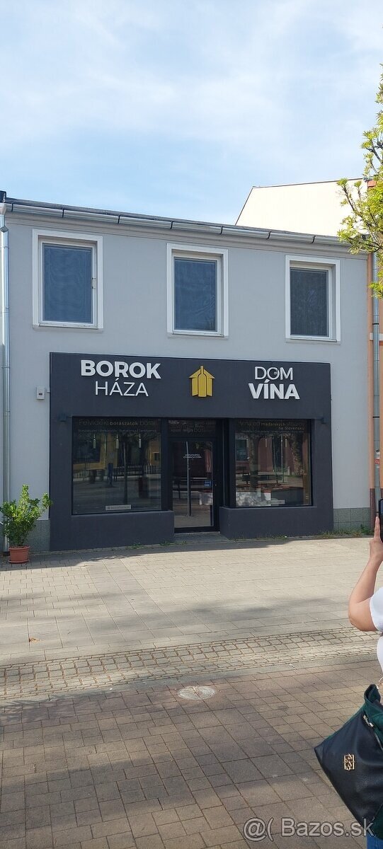 Obchodny priestor na prenajom v Sturove.