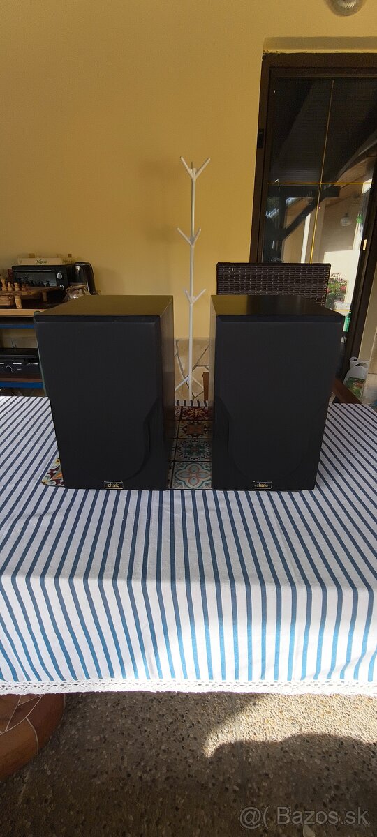Chario Syntar 100