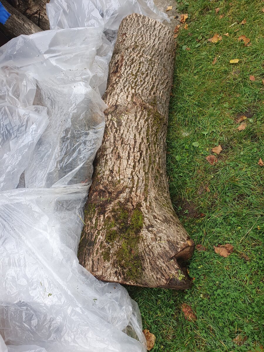 Predám Orechové drevo