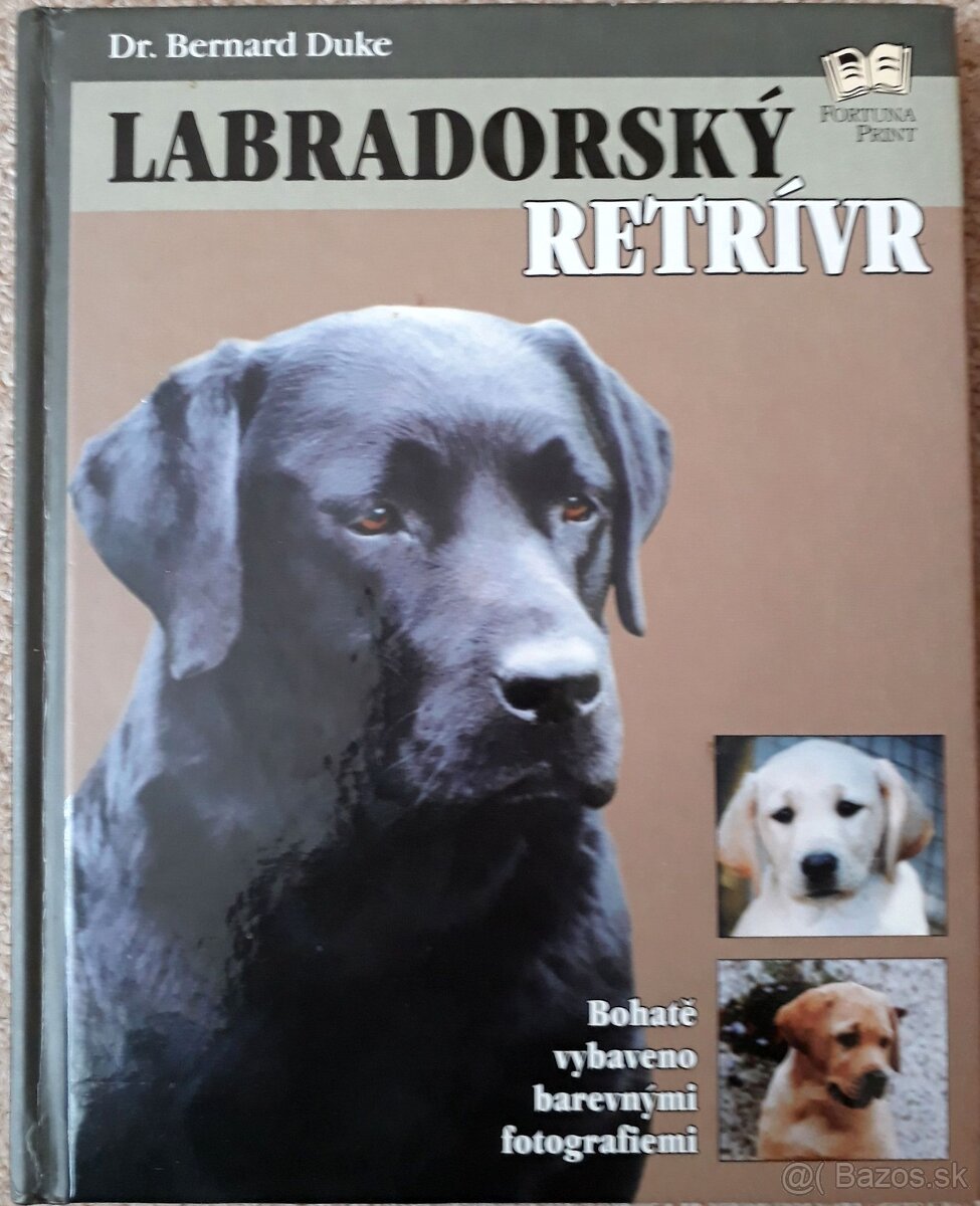 Labradorský retríver, Letničky a detektívka