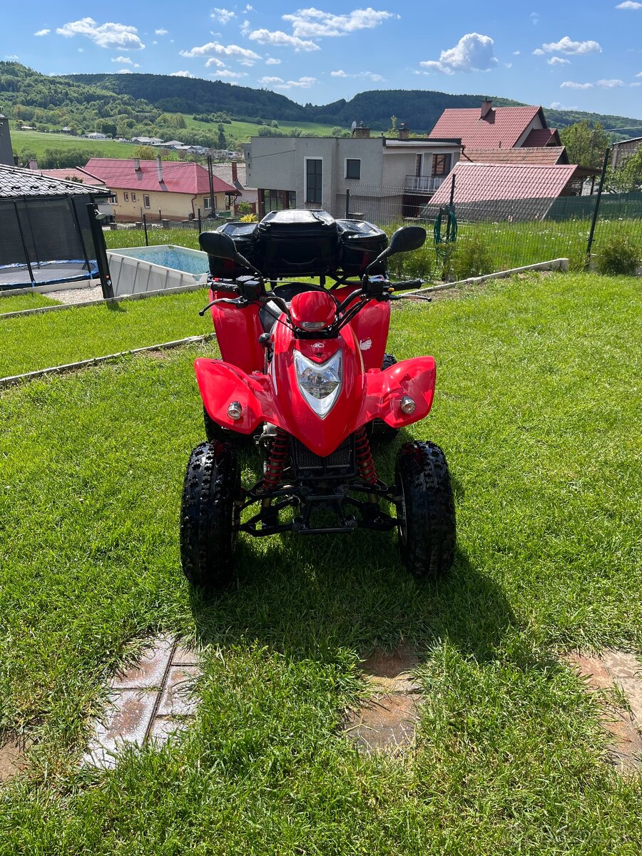 Kymco kxr 250