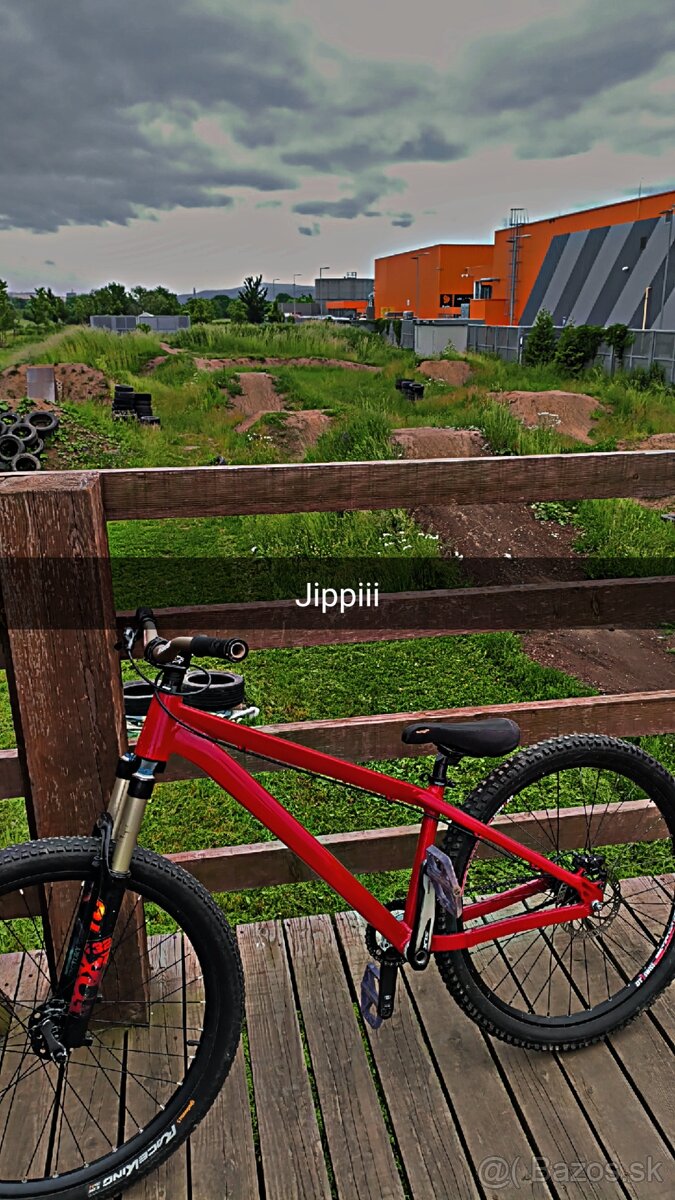 Ctm dirtking