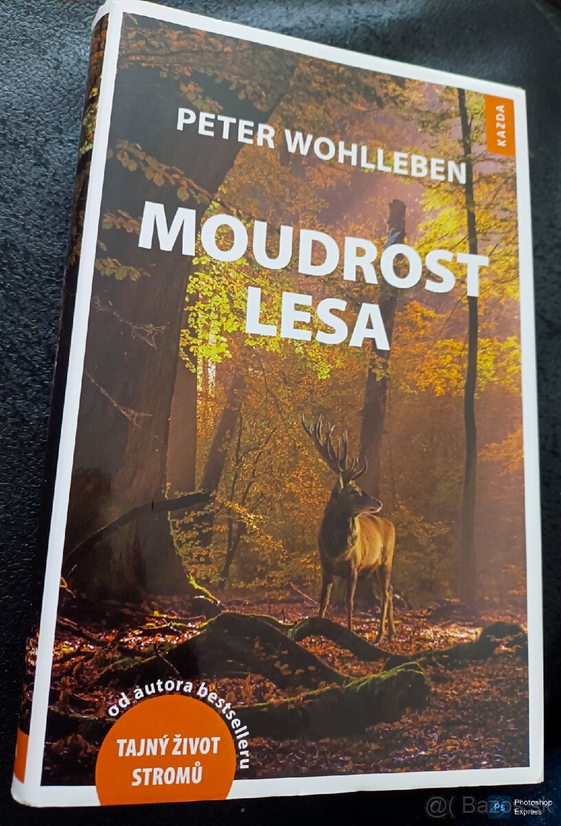 Kniha MOUDROST LESA Peter Wohlleben 8 € krásný stav