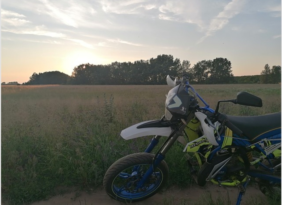 Beta RR 50