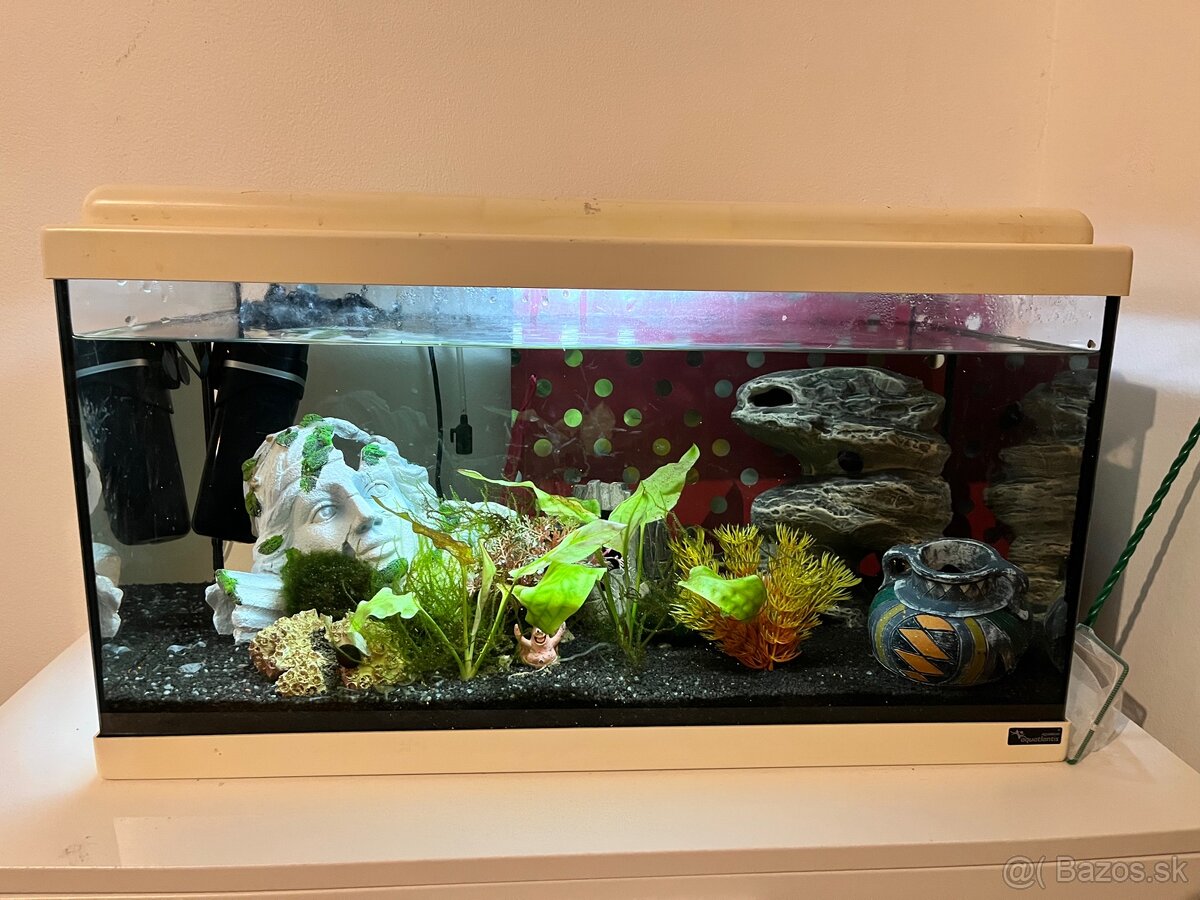 Založené akvárium