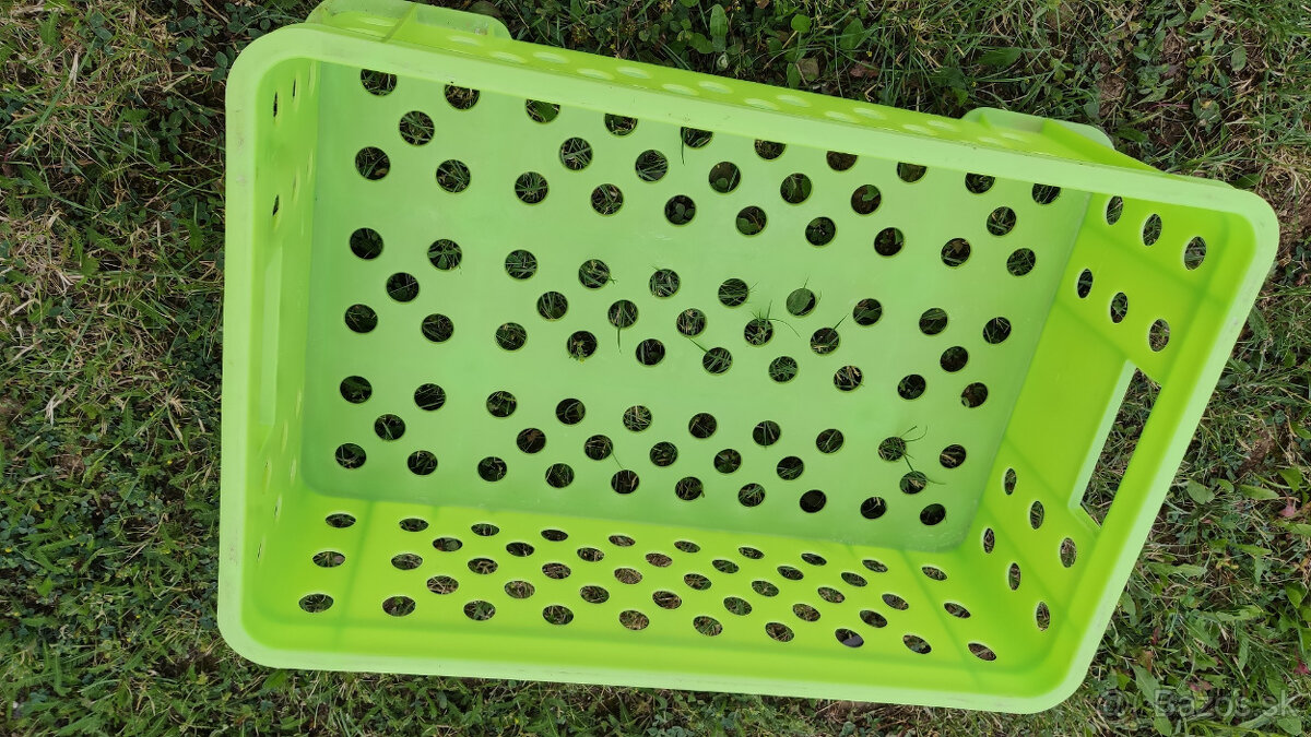 Predám 20 ks plastovu Prepravku - Bednička silna