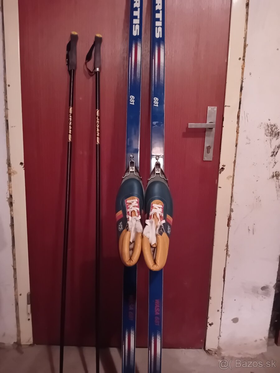 Bežky s palicami a lyžiarkami