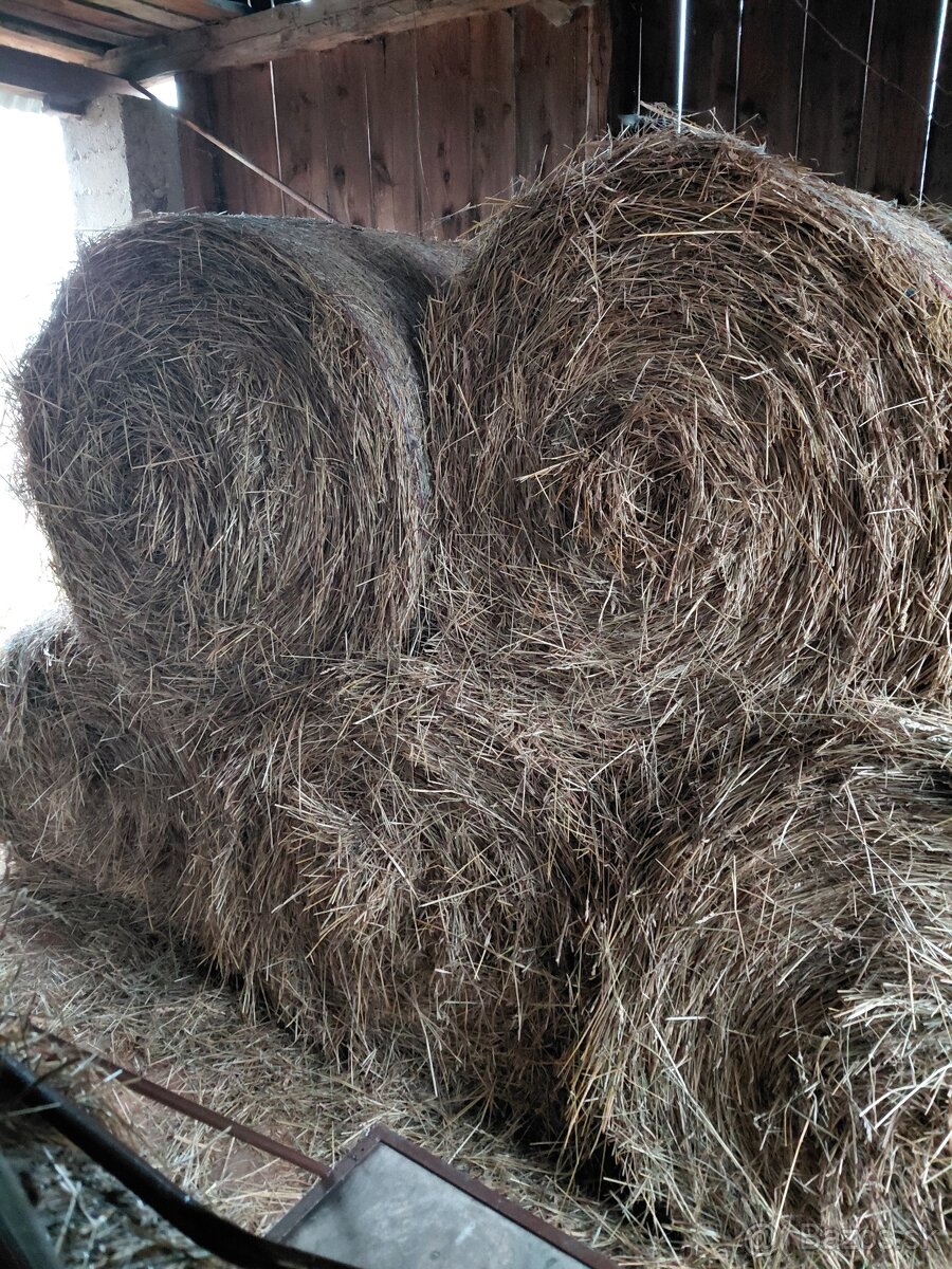 Seno veľké balíky - Ďatelinová zmes