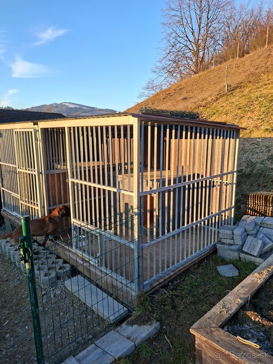 Voliéra pre psa,psia búda