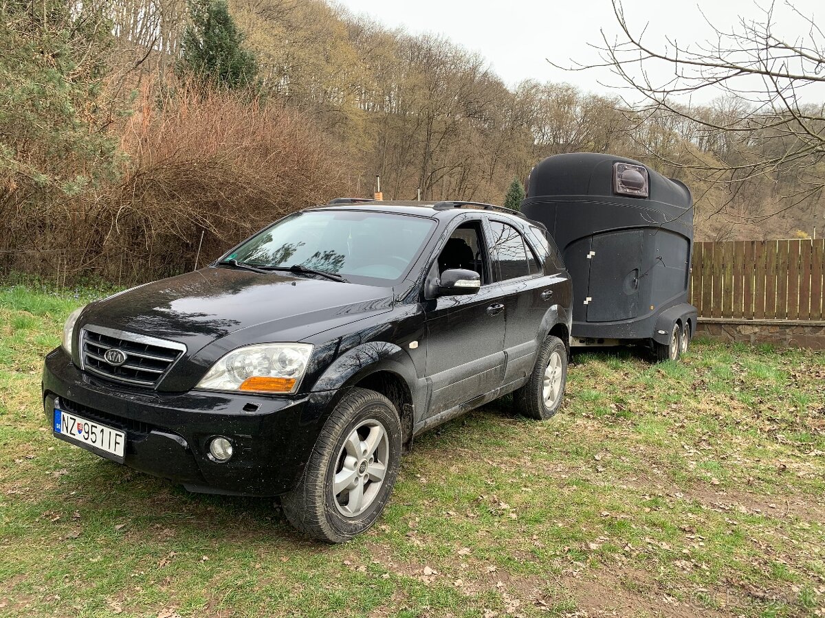 Preprava koní, tréningy, vychádzky