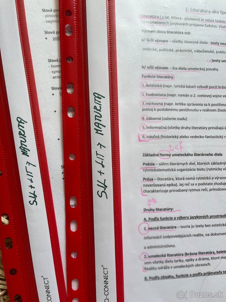 MATURITNÉ TÉMY - SLOVENSKÝ JAZYK A LIT