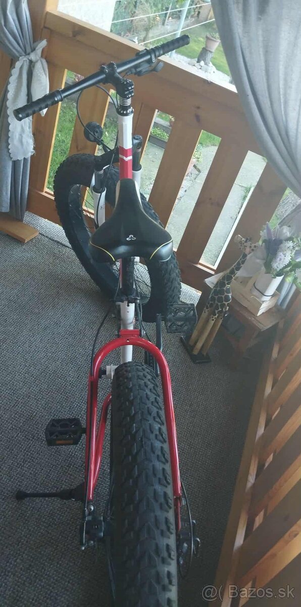 Fat Bike