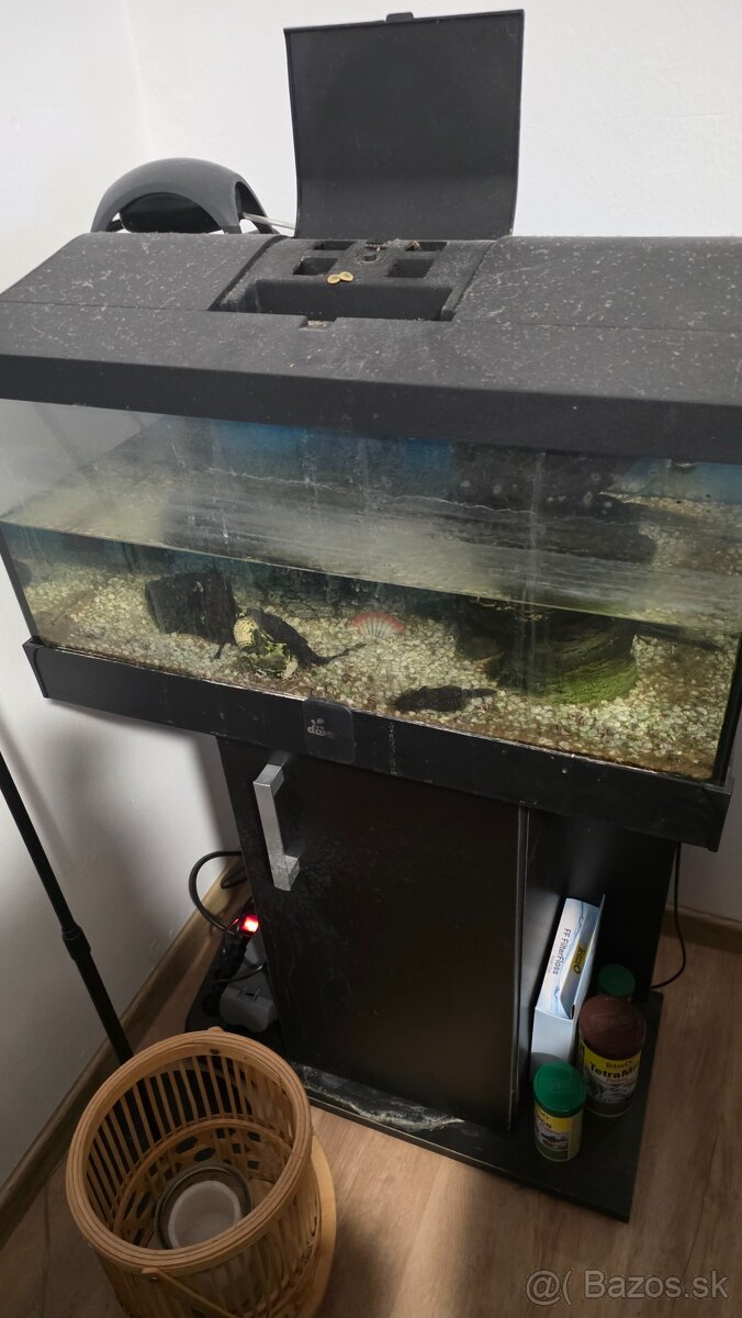Predam akvarium 60x30 s prisavnikmi