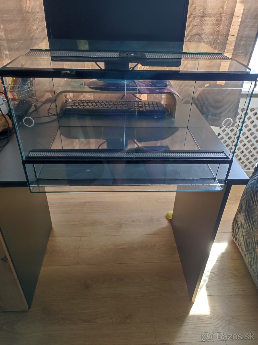 Terarium