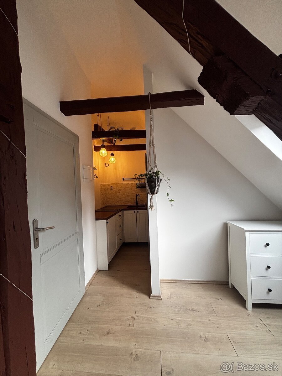 Investičný podkr. apartmán v histor. centre,Banská Štiavnica