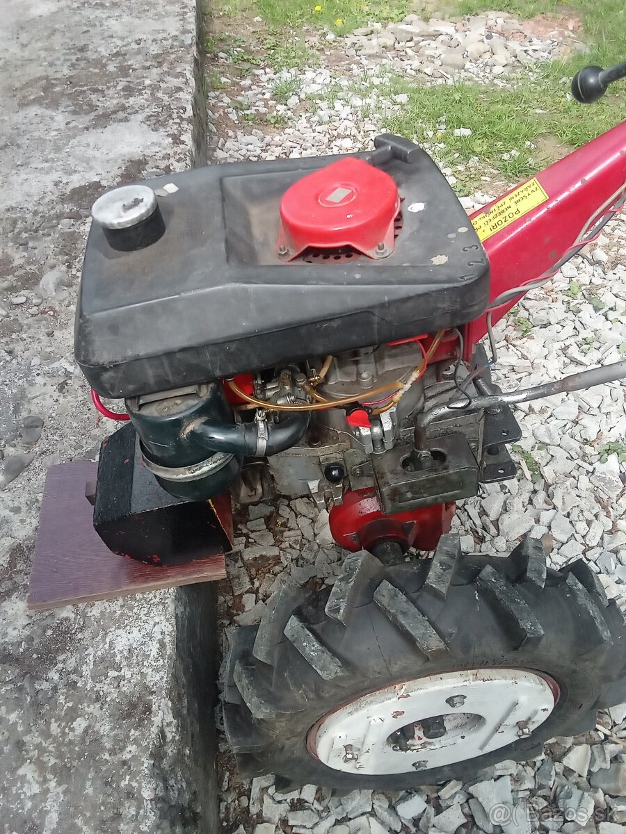 Agzat Profi - R151
