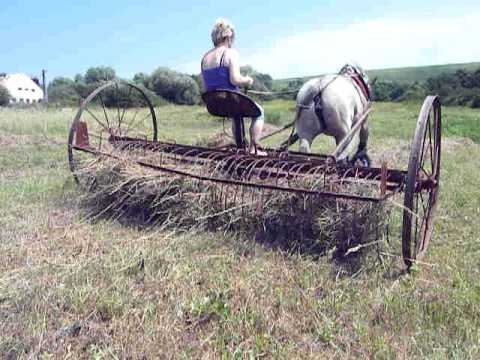Konská hrabacka