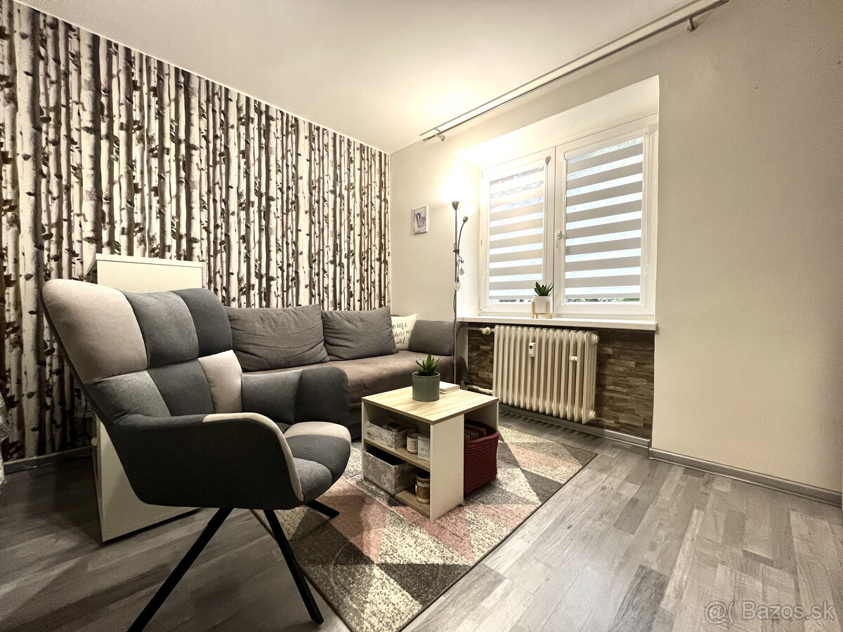 1 izbový byt v širšom centre mesta Martin