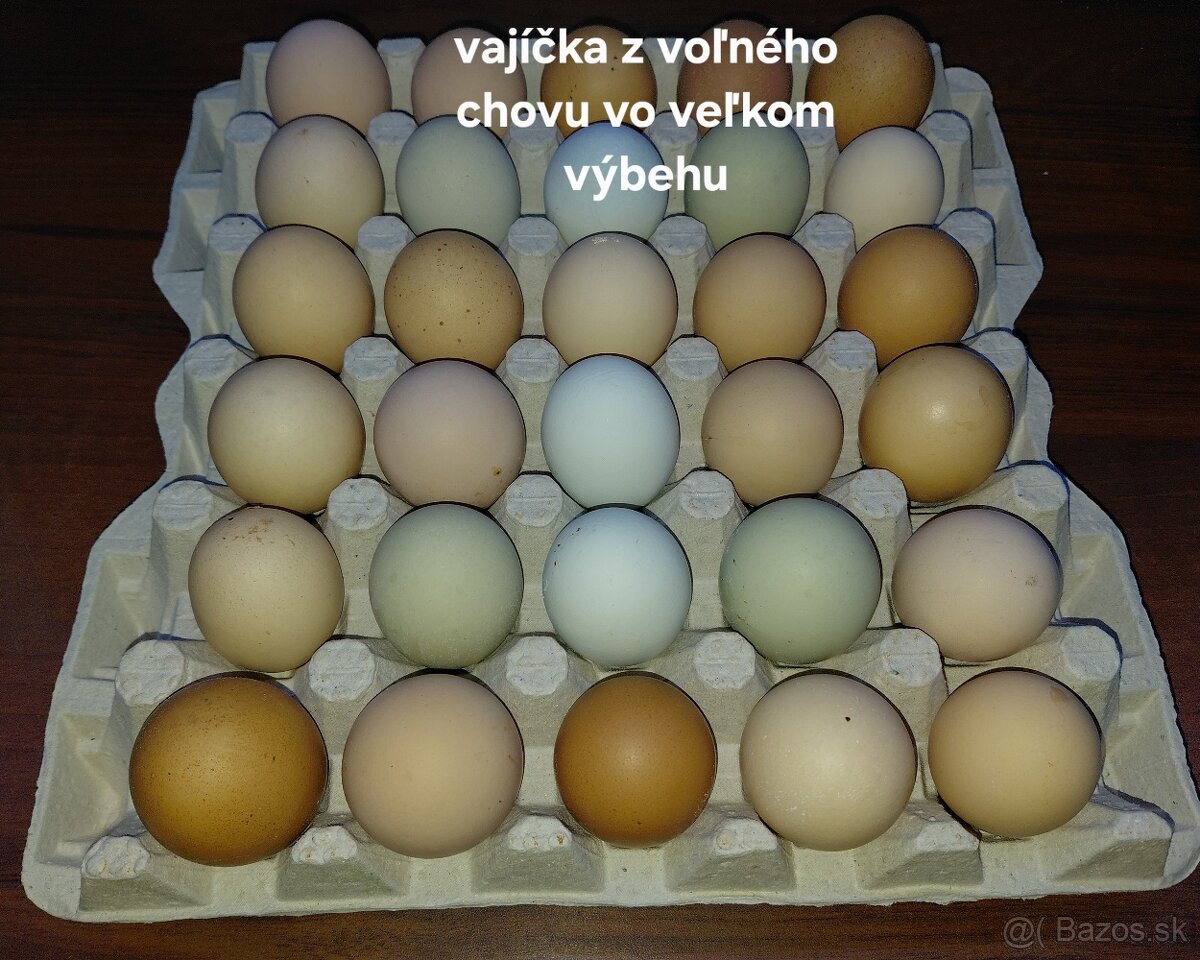 Domáce vajíčka