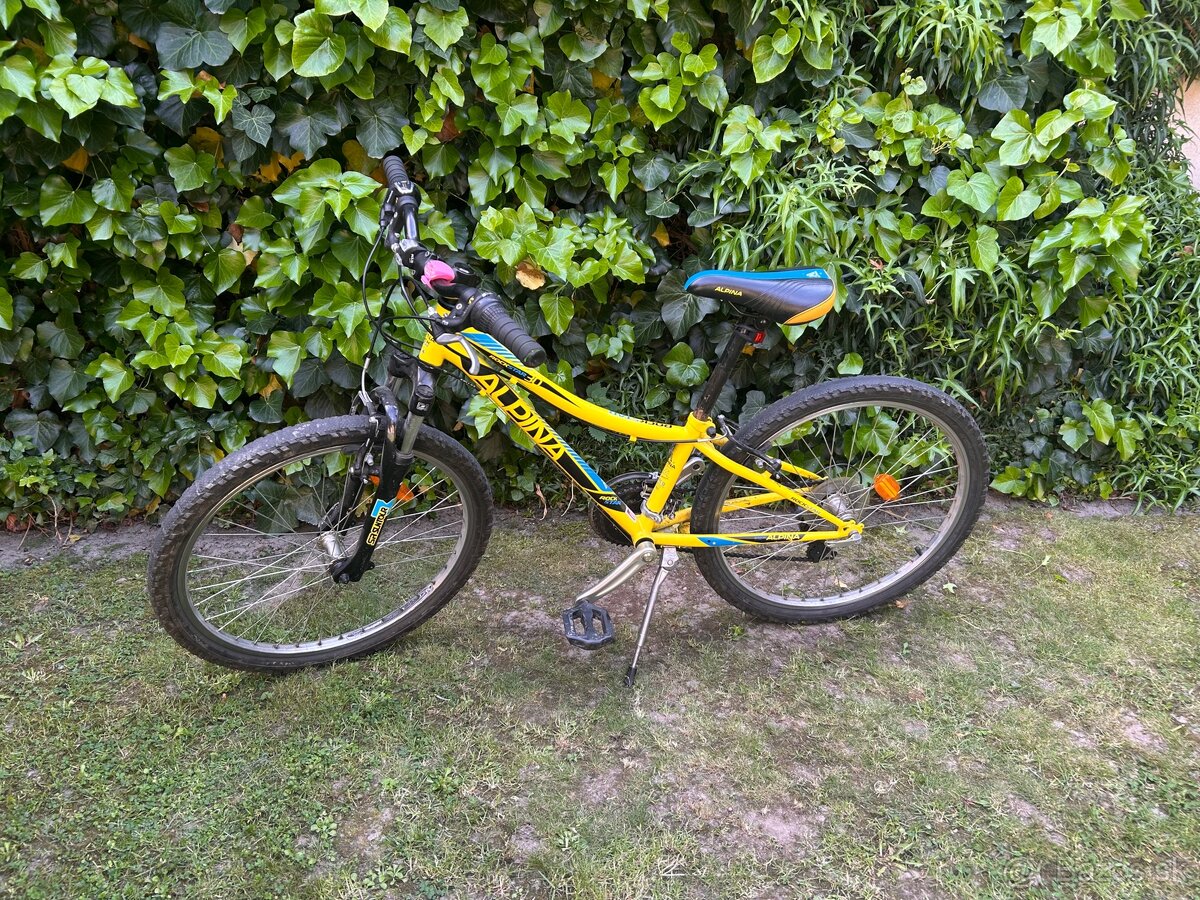 Bicykel Alpina