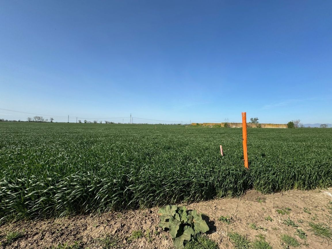 Investičný pozemok 28 249 m², Malženice, okres Trnava