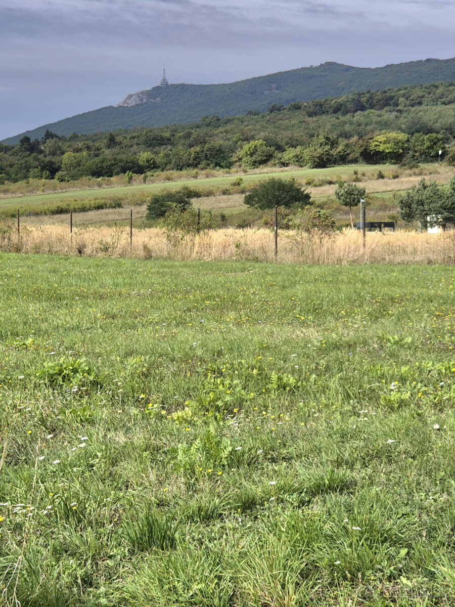 Predaj pekný stavebný 673 m2 stavebný pozemok Dolné Śtitáre