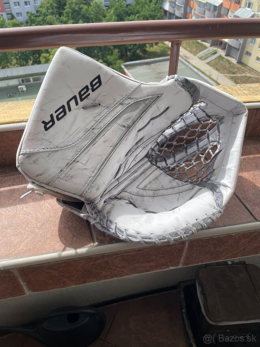 Lapacka Bauer